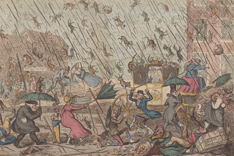 whimsical 1800s cartoon of people holding up umbrellas against a downpour of cats and dogs