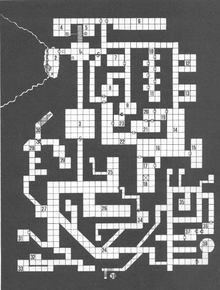 Printed image. A complex map drawn on square graph paper, depicting a network of dungeon rooms connected by corridors. Each room is numbered from 1 to 38.